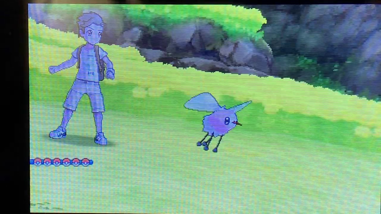 [Live] Shiny Cutiefy After 210 SOS Calls! W/ Shiny Charm