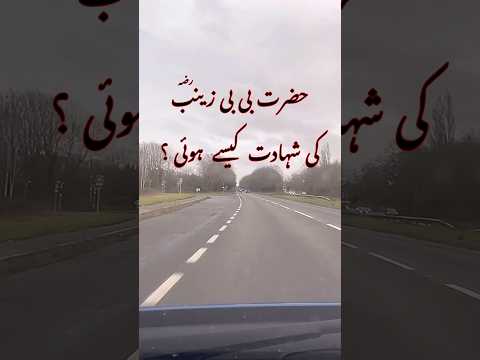 حضرت بی بی زینب رض کی شهادت کسی هوی زینب شهید اسلامی ویدئو یوتیوب شورت