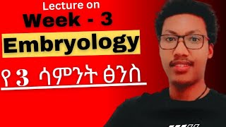 Week - 3️⃣ Embryology የሦስተኛው ሳምንት የፅንስ እድገት #gastrulation #third week embryo development #ethiopia
