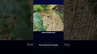 Naked Gardening Day Song #shorts
A song about Naked Gardening day.
I wrote the lyrics this morning, but the voices and music is ones and zeros. *Salute and respect to artists who dont need any variety of digital help to output whats in their head.*
A friend of mine named Freddy
Asked me and his voice was steady
are you ready today?
for naked gardening day
I said, I was born ready
Naked gardening day, but know its okay
to wear knee pads and hats, but no wearing spats
Out in the sunlight, planting and seeding
Getting fresh air, while trimming and weeding
Fruit trees get pruned, and soil gets turned
But wear some sunscreen. so you dont get burned
You dont have to sing the blues
if instead of naked you choose
while working in peat
you protect your feet
by wearing a pair of your shoes
Naked gardening day, but know its okay
to wear knee pads and hats, but no wearing spats
Out in the sunlight, planting and seeding
Getting fresh air, while trimming and weeding
Fruit trees get pruned, and soil gets turned
But wear some sunscreen. so you dont get burned
depending on which or what yard on
You might need to say beg your pardon
It seems rather cruel
theres an unwritten rule
That it must be your own garden
Naked gardening day, but know its okay
to wear knee pads and hats, but no wearing spats
Out in the sunlight, planting and seeding
Getting fresh air, while trimming and weeding
Fruit trees get pruned, and soil gets turned
But wear some sunscreen. so you dont get burned
You can work on some veggies or corns
but every nude gardener warns
you dont want to get wrecked
with no clothes to protect
if your working near plants that have thorns
Naked gardening day, but know its okay
to wear knee pads and hats, but no wearing spats
Out in the sunlight, planting and seeding
Getting fresh air, while trimming and weeding
Fruit trees get pruned, and soil gets turned
But wear some sunscreen. so you dont get burned
#nakedgardeningday #music #musicvideo Naked Gardening Day Song #shorts