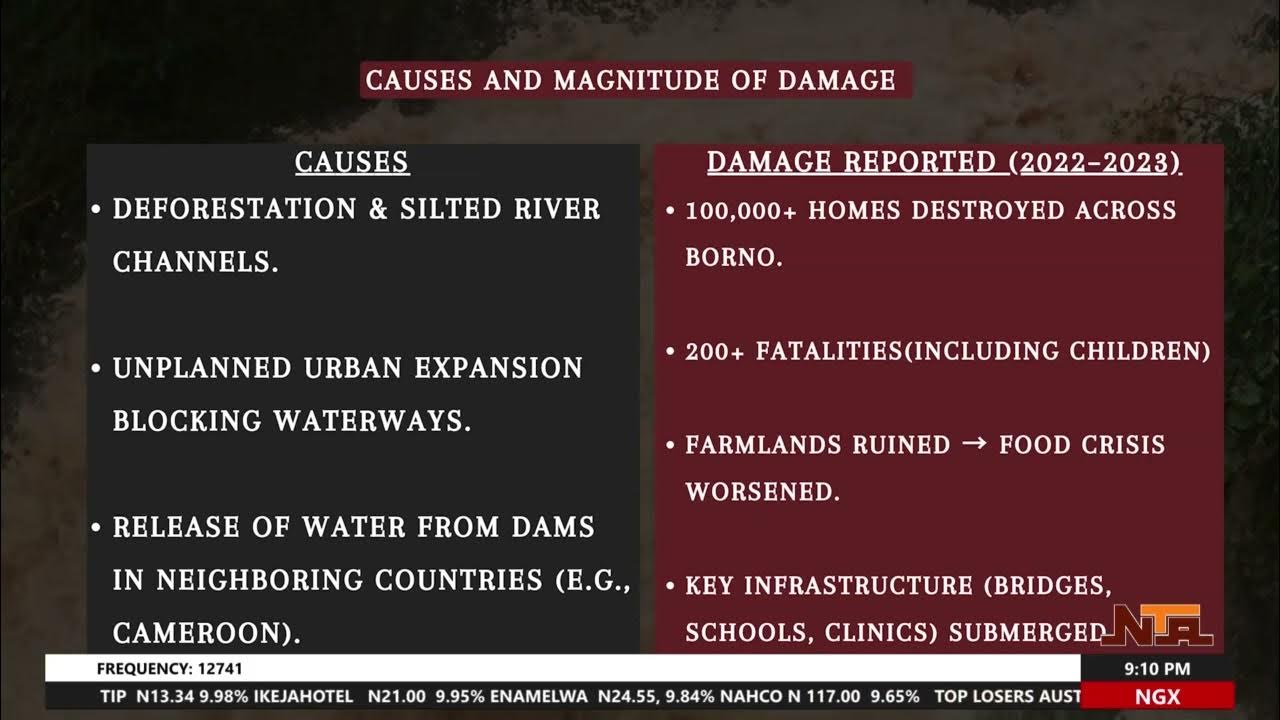 Inside Borno’s Battle with Floods: What Experts Are Urging Now
