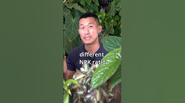 Understanding Fertilizer Basics | NPK Explained