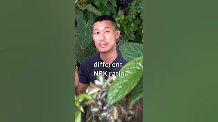 Understanding Fertilizer Basics | NPK Explained thumbnail
