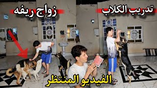 وأخيراً الفيديو المنتظر! تدريب الكلاب _ زواج ريفه من روك _ ذكاء لوسي😧🔥