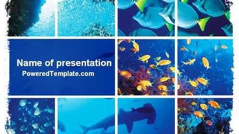 Underwater Life PowerPoint Template by PoweredTemplate.com
