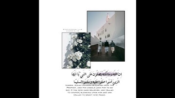 قرآن الكريم بصوت رعد محمد الكردي اجمل حالات واتس اب دينية سورة الأحزاب فيديو قصيره 🤍🌿