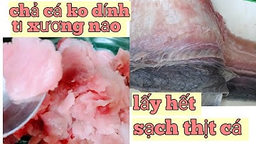 hướng dẫn nạ.o cá thác lác lấy hết sạch thịt cá,chả cá không dính xương,rất đơn giản dễ làm