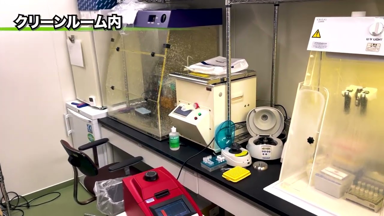 国立科学博物館 人類研究部 神澤秀明 インタビュー（2023年度クラウドファンディング「科博コレクション図鑑」特典動画）