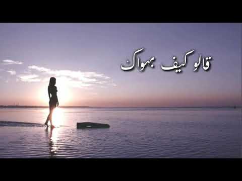 امل حجازي زمان حالات واتس