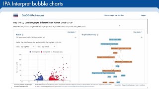 IPA Interpret bubble charts