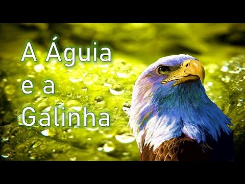 A Águia e