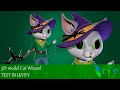 Cat Wizard Test Epic Skeleton In Unity