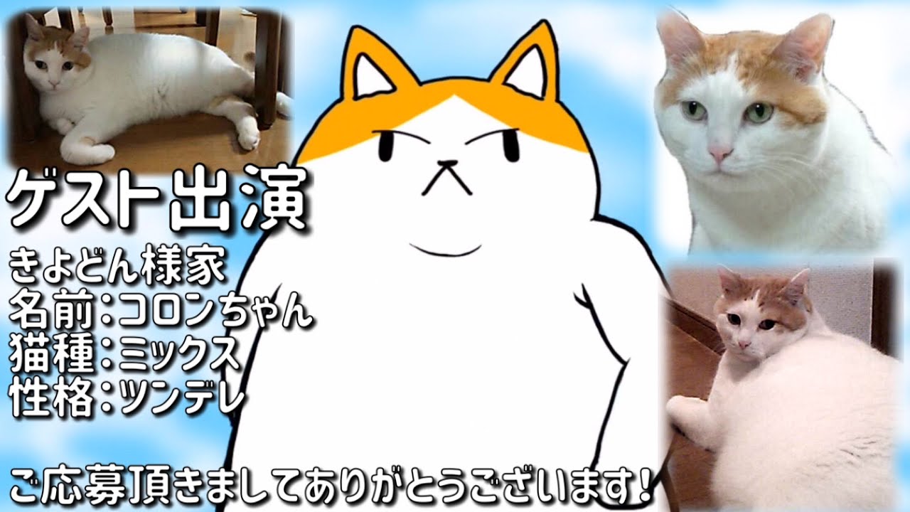 最も欲しかった 猫 名前 アニメ 猫 名前 アニメ