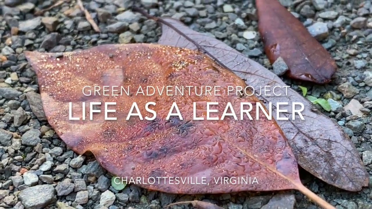 Life as a GAP Learner!