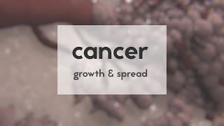 Cancer: growth \& spread