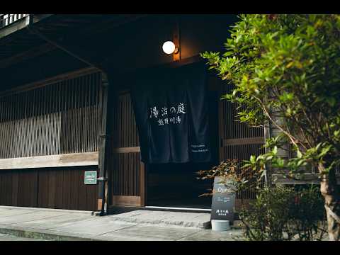冬至に庭でできること：光が戻る日を園芸で楽しむ実践ガイド