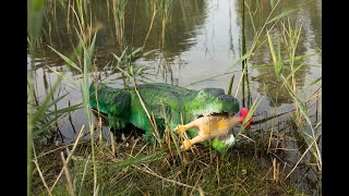 Forfiter łuczniczy - VI Piesze Towarzyskie Zawody Łucznicze screenshot 4