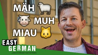 Animal Sounds in German | Easy German 467