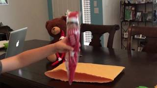 Unboxing Elf on the Shelf doll