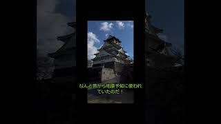 「ナマズの地震予知能力がすごい!」驚愕のセンサーの秘密なのだ!