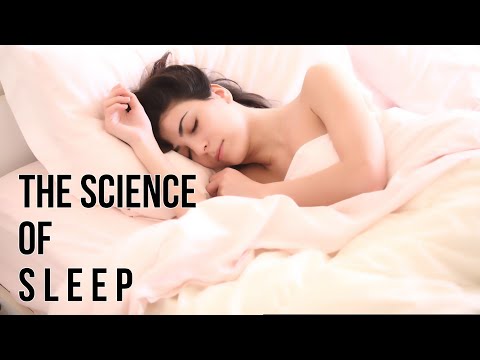 The Science Of Sleep. How To Optimize Your Sleep For Better Health & Productivity.