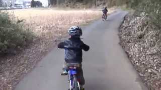 サイクリング ５日目 B 強風に倒された 20150117