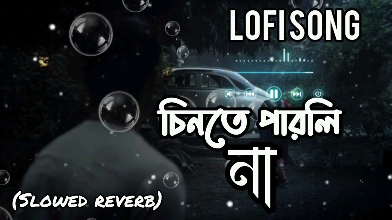 chinte parli na amay । চিনতে পারলি না আমায় । lofi song remix ( slowed reverb)💔