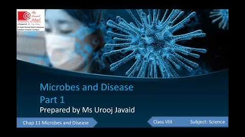 Topic: Ch#11 Microbes and Disease Class: 8 Subject: Science