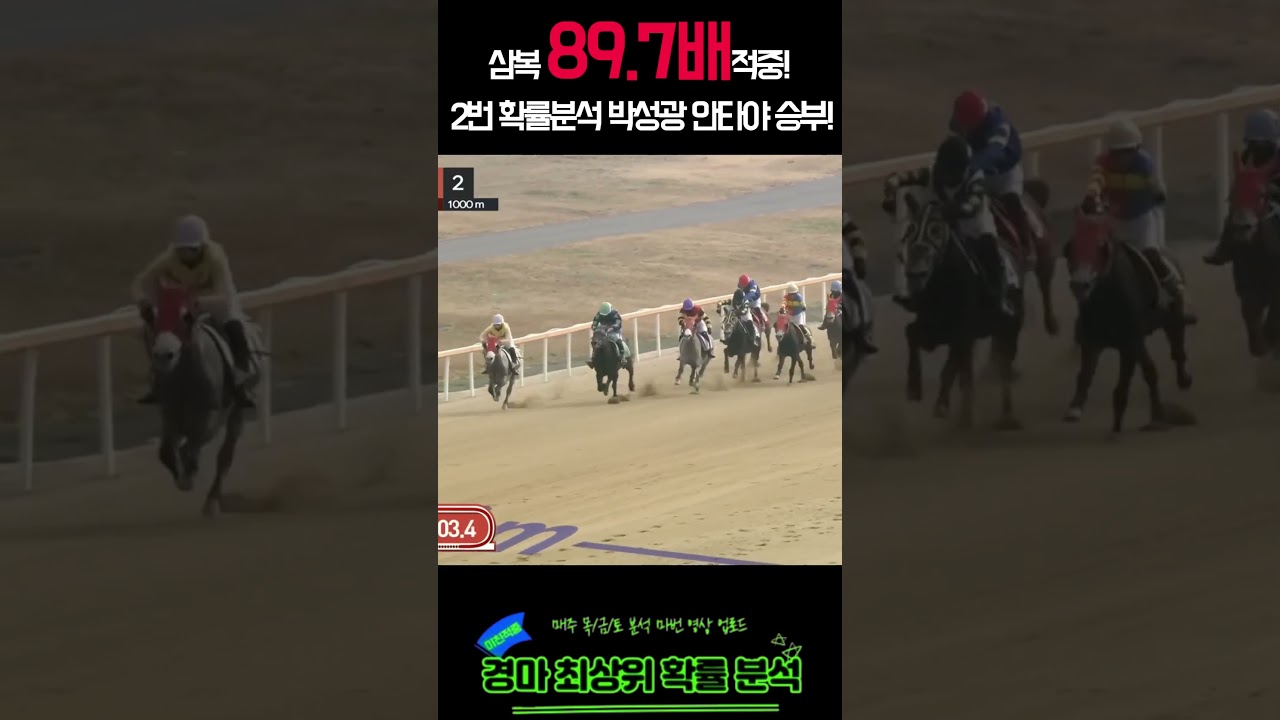 [삼복 89.7배] 역시 2번은 성광이가 안타야. 온다! | 2번마 확률분석 적중! |26년1월17일 토요경마| #경마 #제주경마 #제주경마적중 #경마적중 #쇼츠 #적중 #고배당