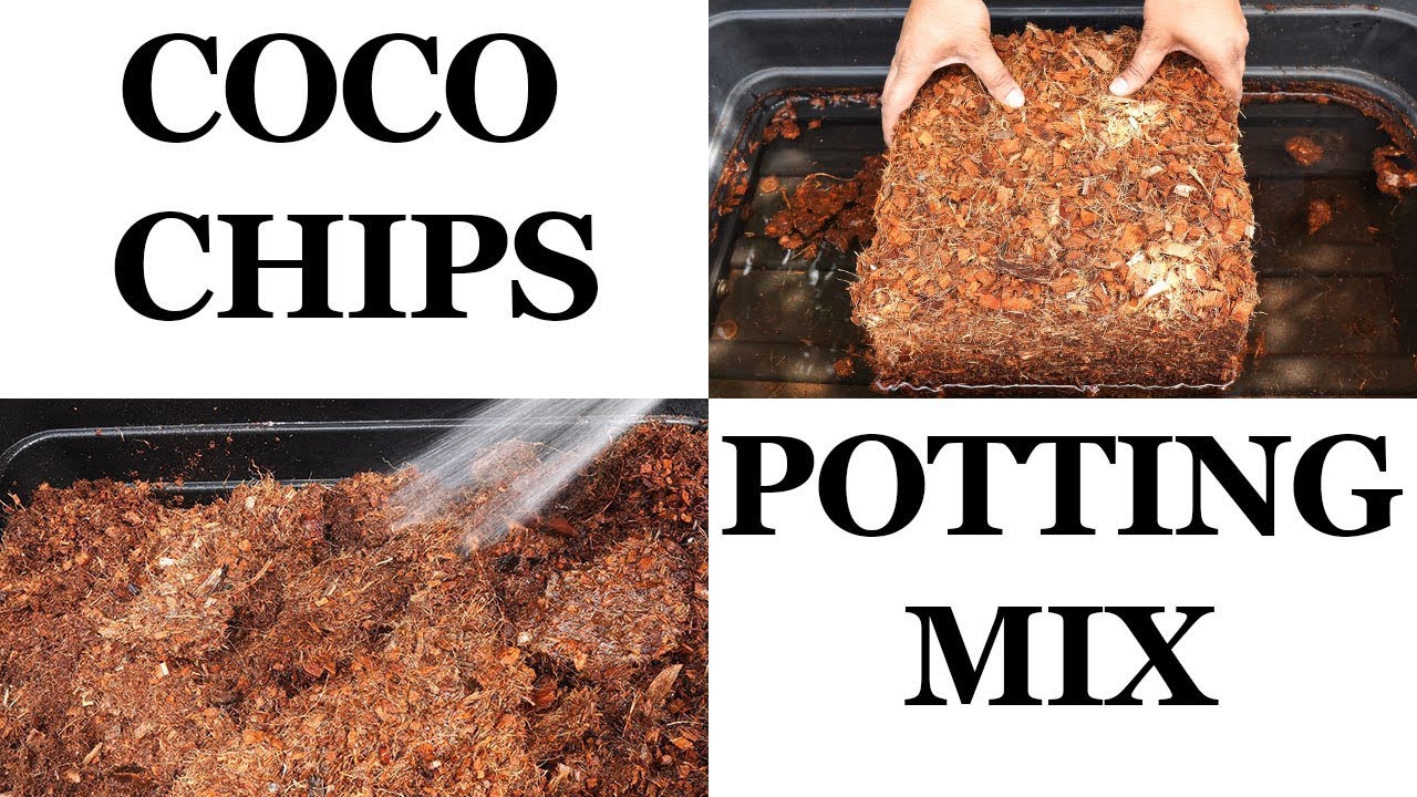 Coco Coir Chips Based Potting Mix