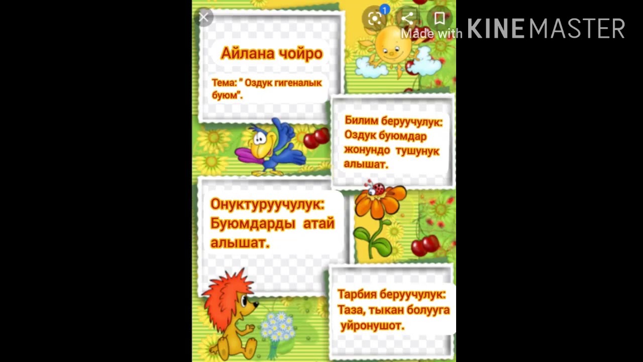 Еркек өзін сигимен силайды