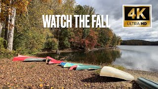 USA Watch the Fall - 4K - Relaxing ASMR Cinematic footage