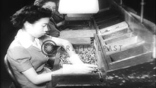China's ambassador to Canada, Lu Shumin inspects Canada's war industries. HD Stock Footage
