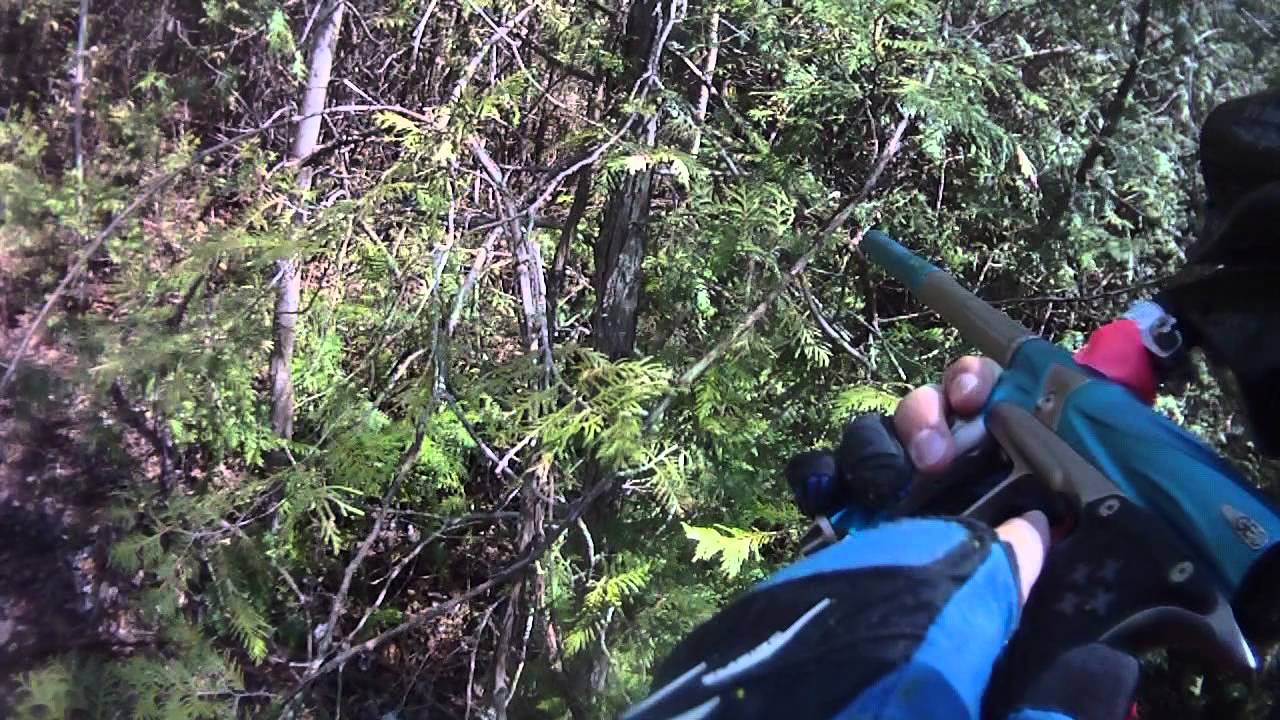 Paintball Death From Above, Part 2 of 3 YouTube