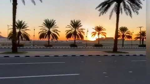 ما دمت تقرأ الأذكار فأبشر بالخير بإذن الله| الشيخ محمد مختار الشنقيطي