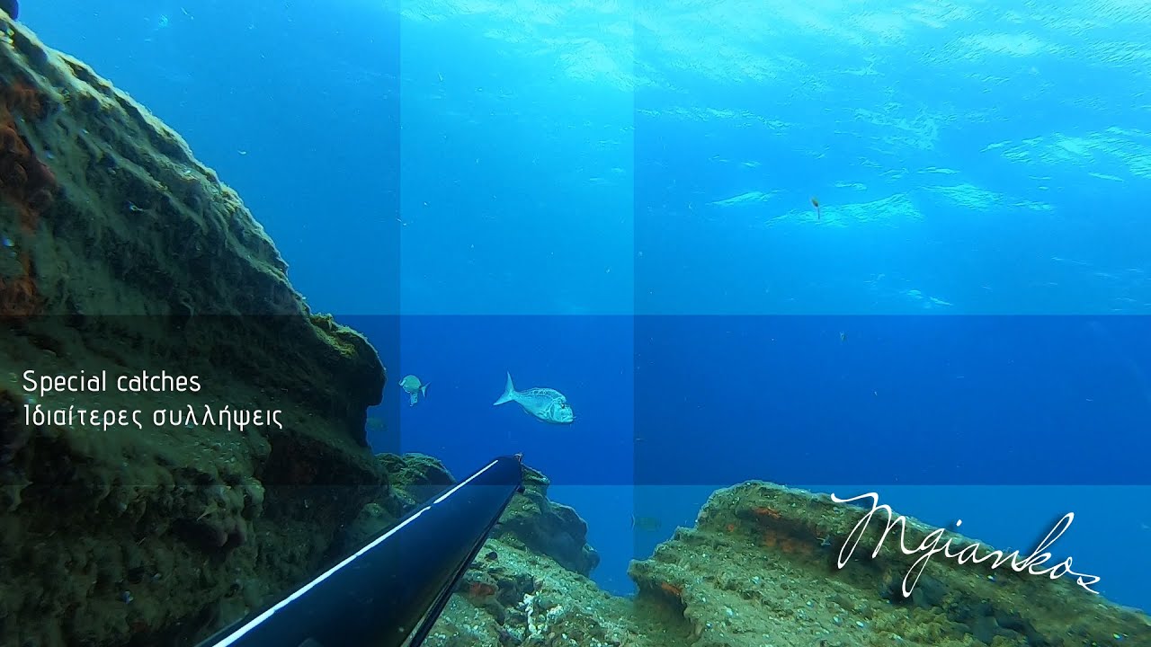 Απίθανες Συλλήψεις στο Βυθό! | Μοναδικές Στιγμές με το Ψαροντούφεκο 🎯