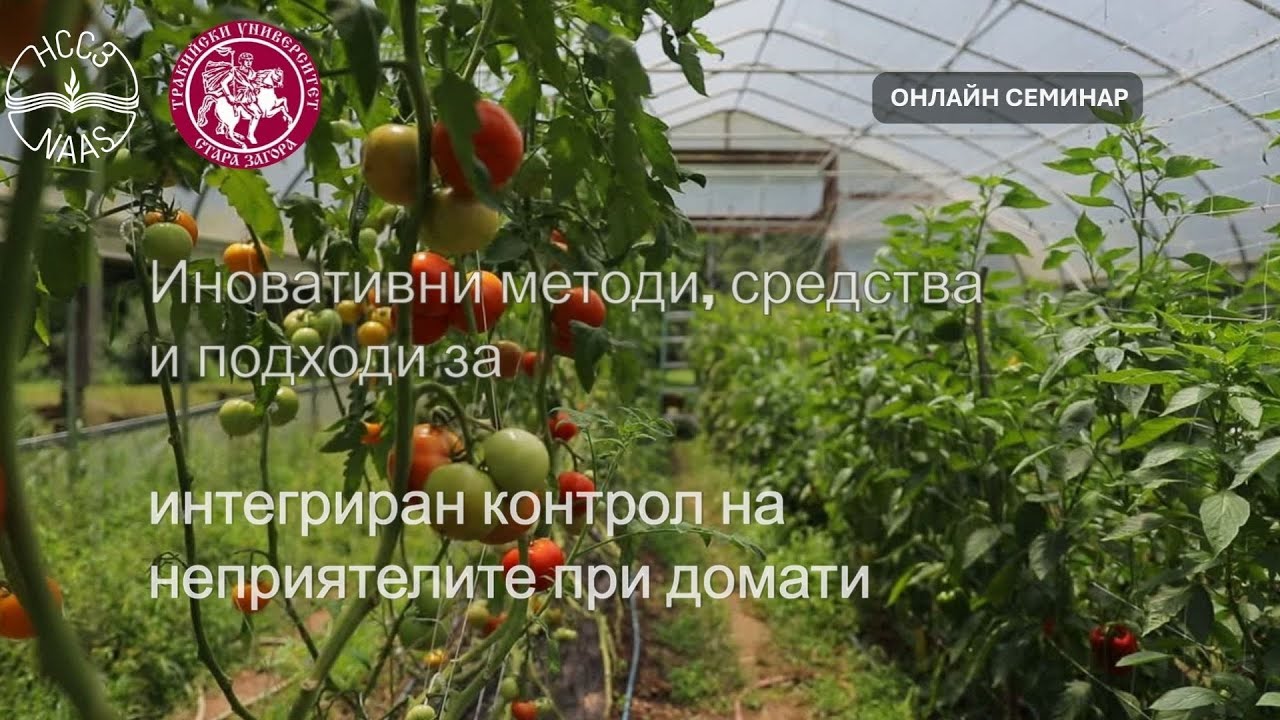 Иновативни методи, средства и подходи за интегриран контрол на неприятелите при оранжерийни домати