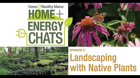 Landscaping with Native Plants in Maine | Home + Energy Chats