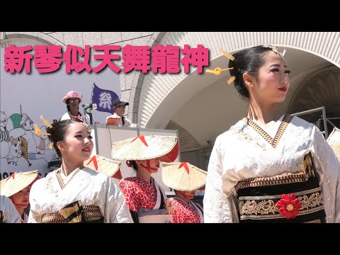 【大迫力】新琴似天舞龍神 YOSAKOIソーラン2019  JR札幌駅南口広場会場 　6/9