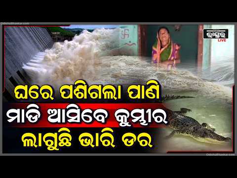 ଘର ଭିତରକୁ ଧସେଇ ପଶୁଛି ପାଣି ମାଡି ଆସିବେ ମେଞ୍ଚା ମେଞ୍ଚା କୁମ୍ଭୀର , ଡରିଲେଣି ଲୋକେ ଲାଗୁଛି  ଭାରି ଡର