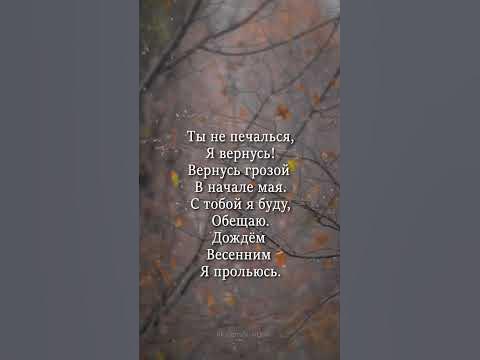 Снегами заметет мой след... - YouTube