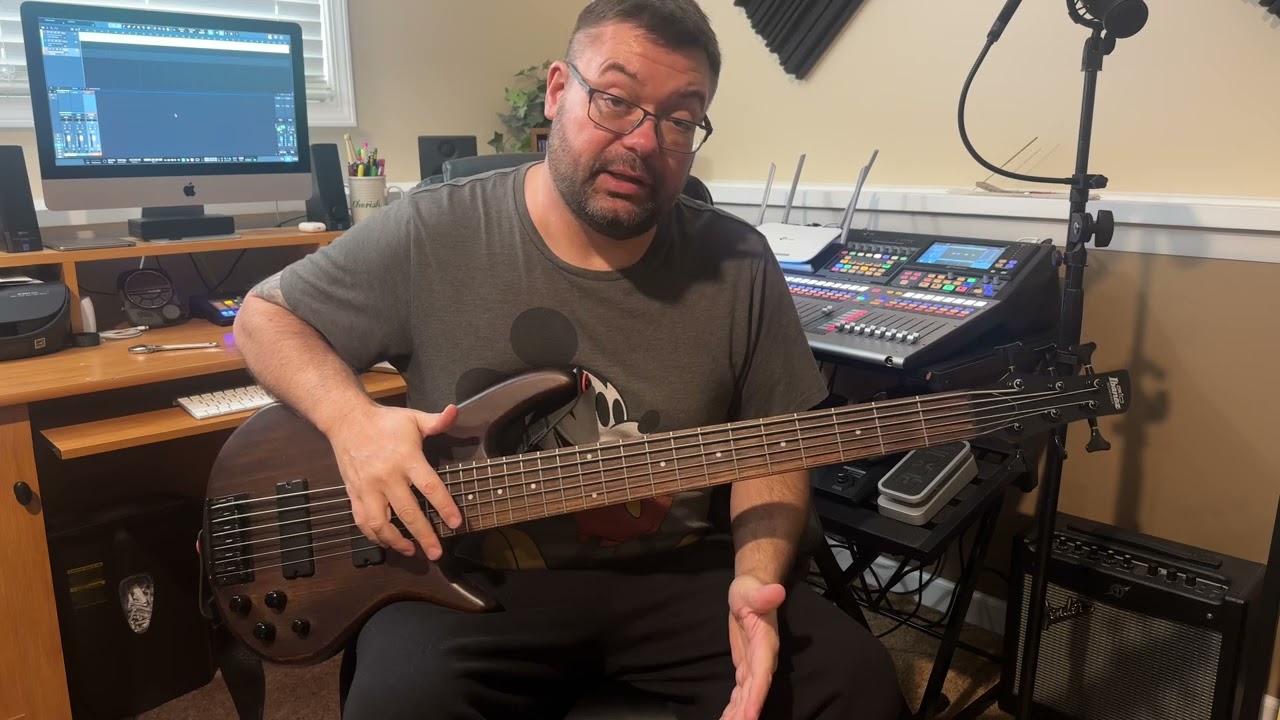 Бас-гитара Ibanez GSR 206