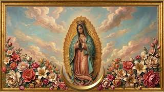 Beautiful Our Lady of Guadalupe TV Art | Sacred Frame Gallery 4K Screensaver | Floral Display screenshot 4