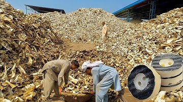 Recycling Millions of Animals Bones into Beautiful Buttons | Amazing Factory Process 