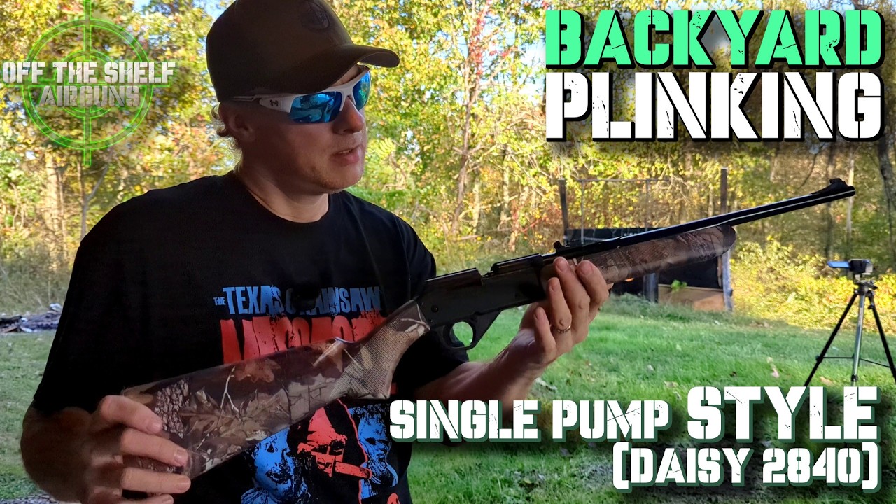Backyard Plinking: Single Pump Style - Daisy 2840