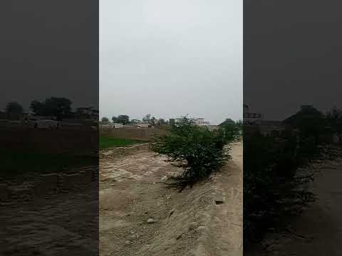 #punjabisong برائے مہربانی چینل کو سبسکرائب کر دیجئے گا