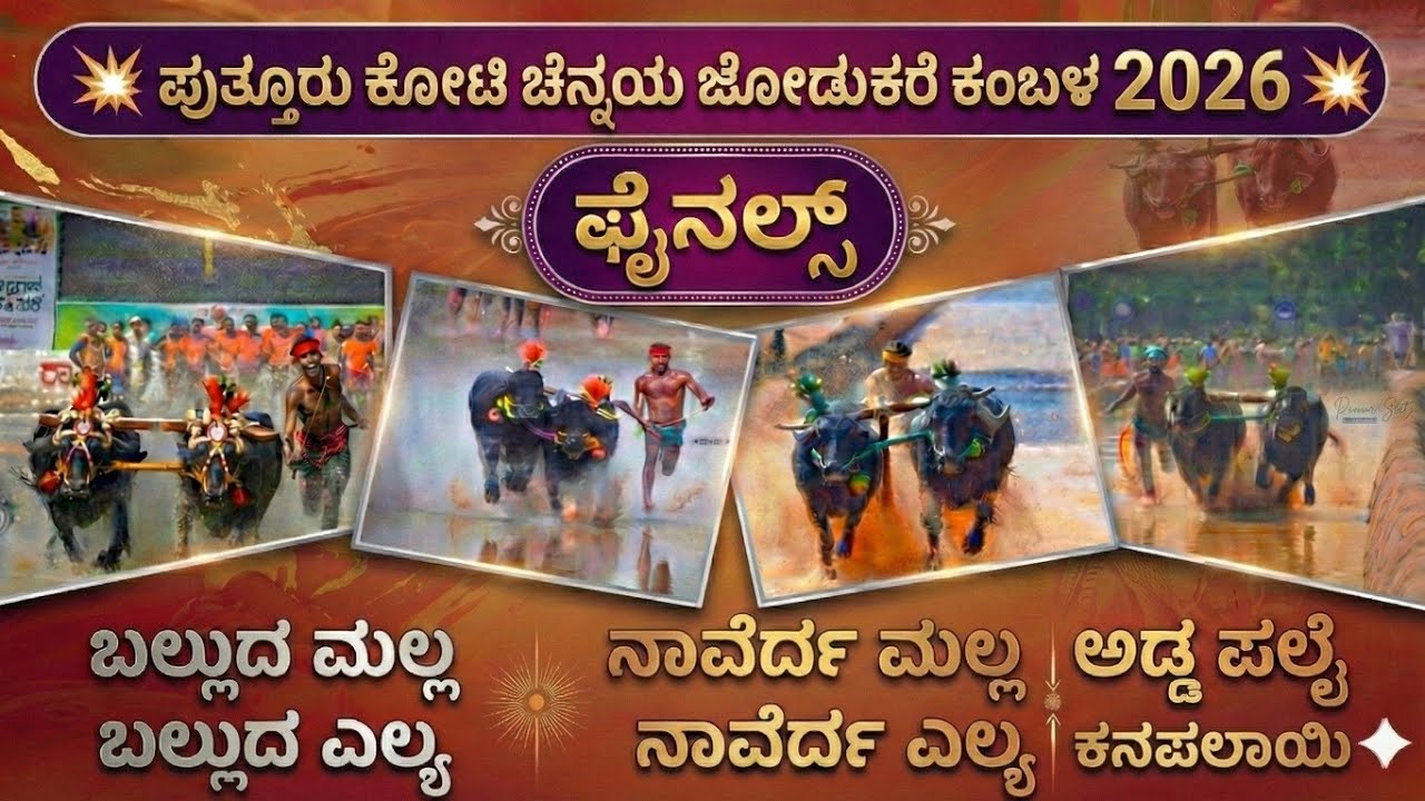 PUTTUR KAMBALA FINAL RACE 2026|ಪುತ್ತೂರು ಕೋಟಿ ಚೆನ್ನಯ ಜೋಡುಕರೆ ಕಂಬಳ ಫೈನಲ್ ರೇಸ್ 