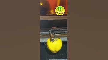 Khắc Dưa Hấu - Dừa - Trang Trí Tết - Xuân Ất Tỵ 2025 - Zalo 0924533722