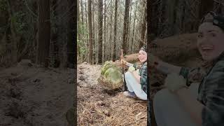 A Shocking Outcome Of Odds