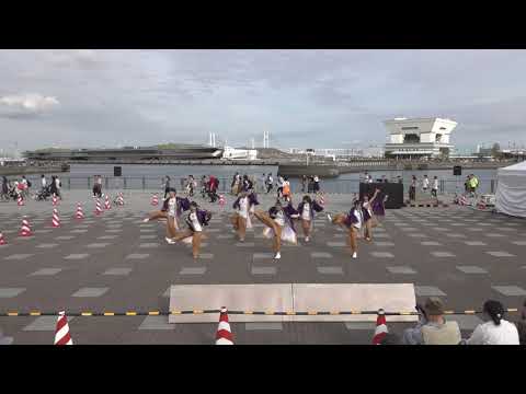 ちーむこなきういずえみりんず・開港の丘－第４回横浜よさこい祭り
